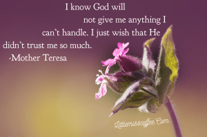 than I can handle Mother Teresa